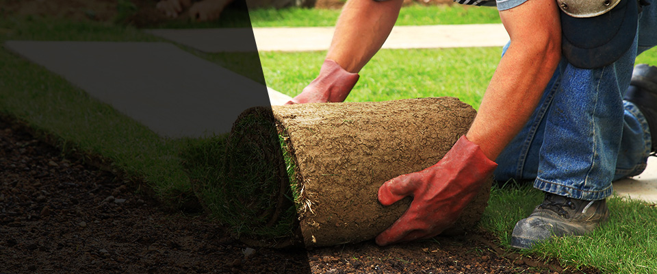 Lake Villa Landscapers